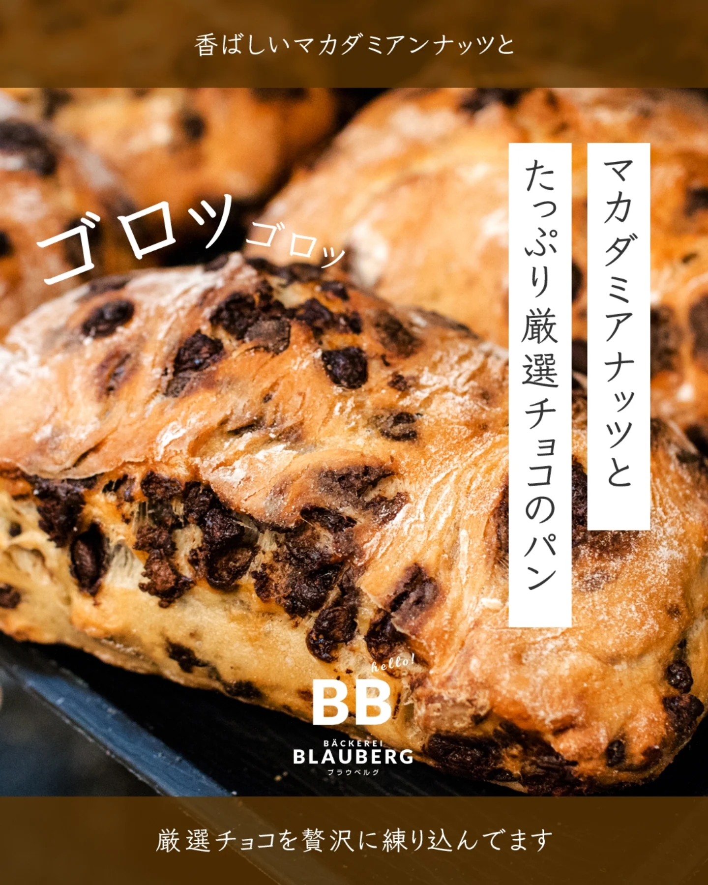 涼しい季節限定の「マカダミアナッツとたっぷりチョコのパン」が焼き上がっています(2025.05.27)