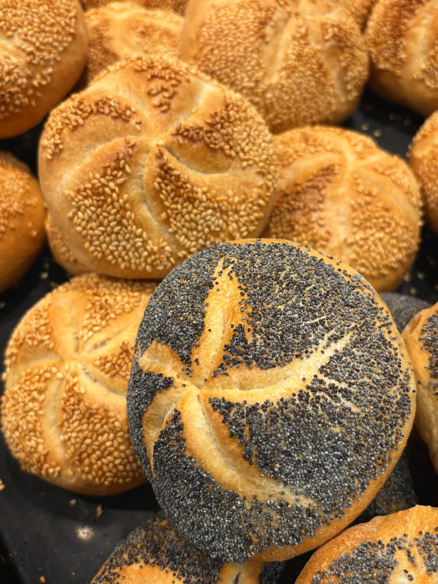 新商品のカイザーゼンメル焼き上がっています（2025.09.21）